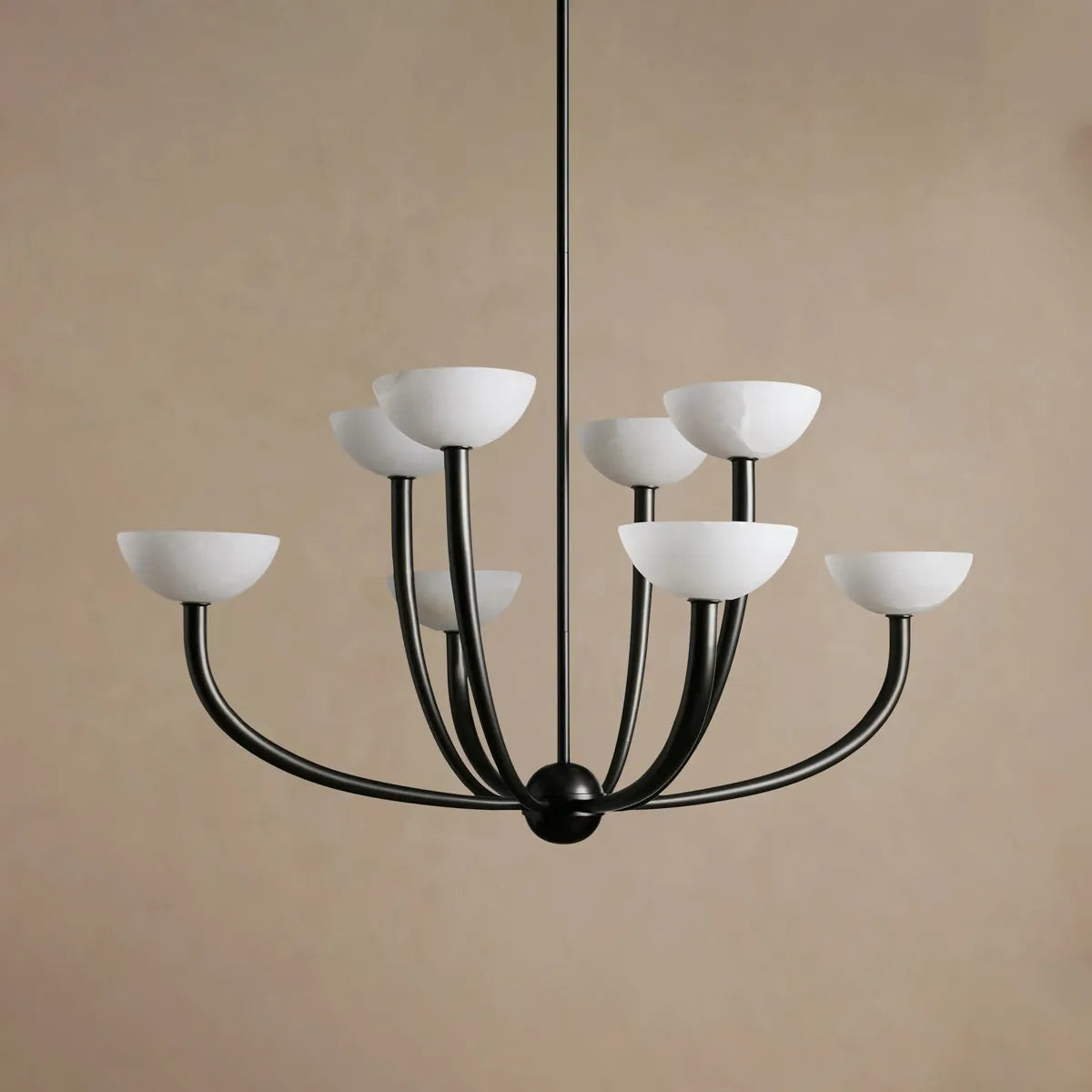saguaro chandelier
