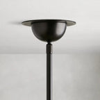 saguaro chandelier