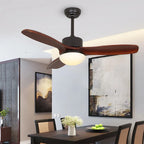 remote ceiling fan light
