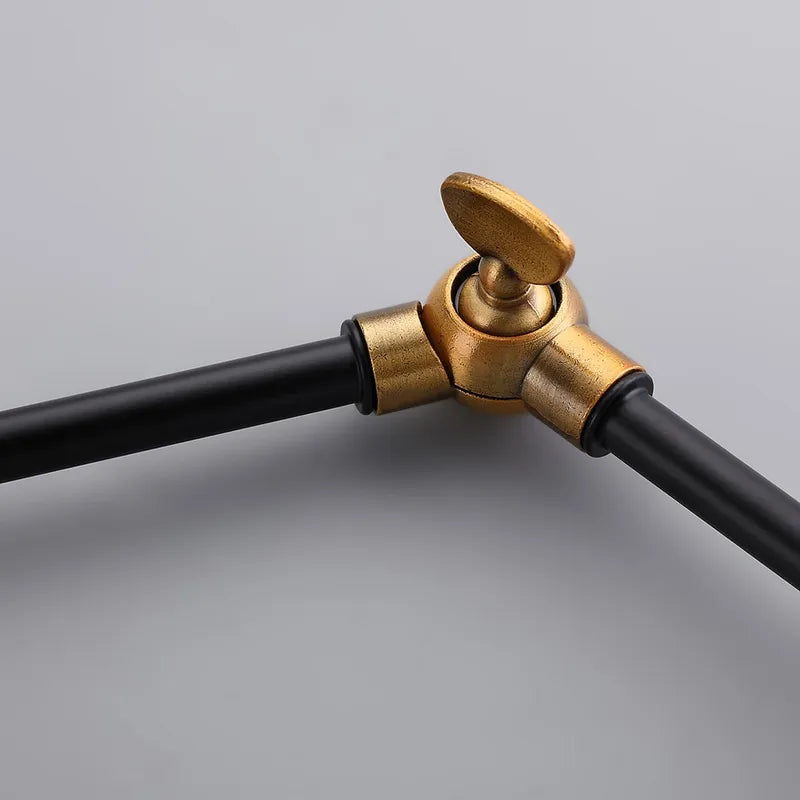 black double swing arm lighting